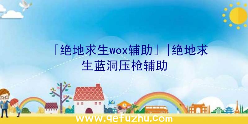 「绝地求生wox辅助」|绝地求生蓝洞压枪辅助